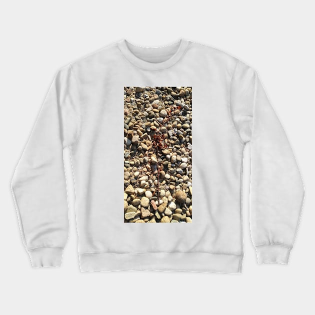 Randoms Cont'd Crewneck Sweatshirt by amararob